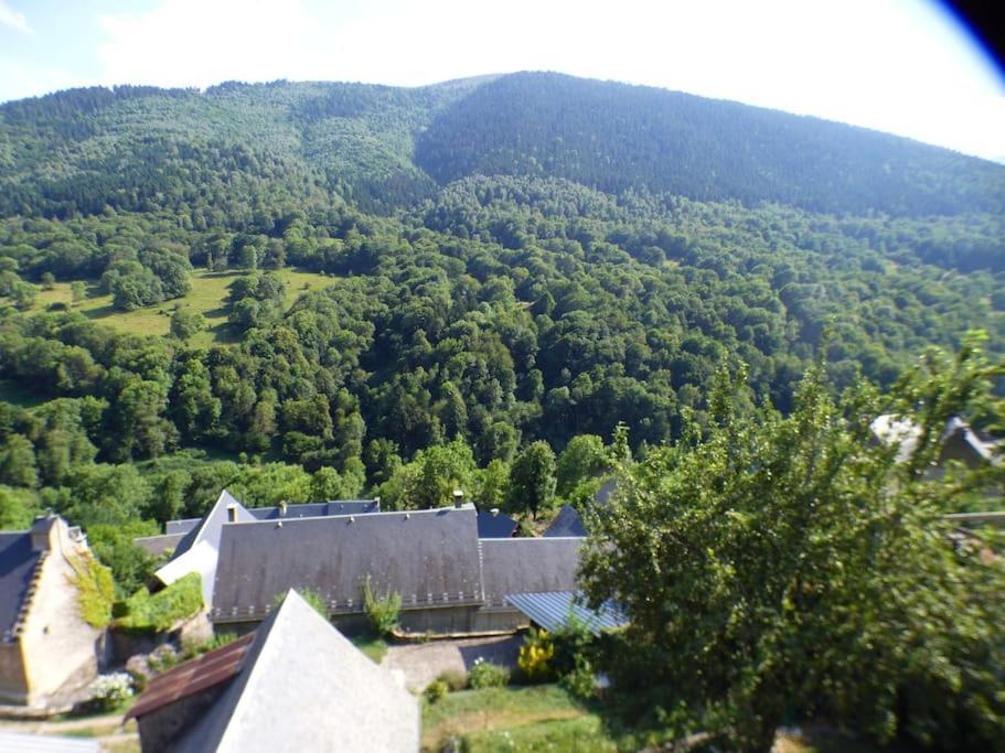 Maison Familiale Pour 8 Saint-Aventin Exteriér fotografie