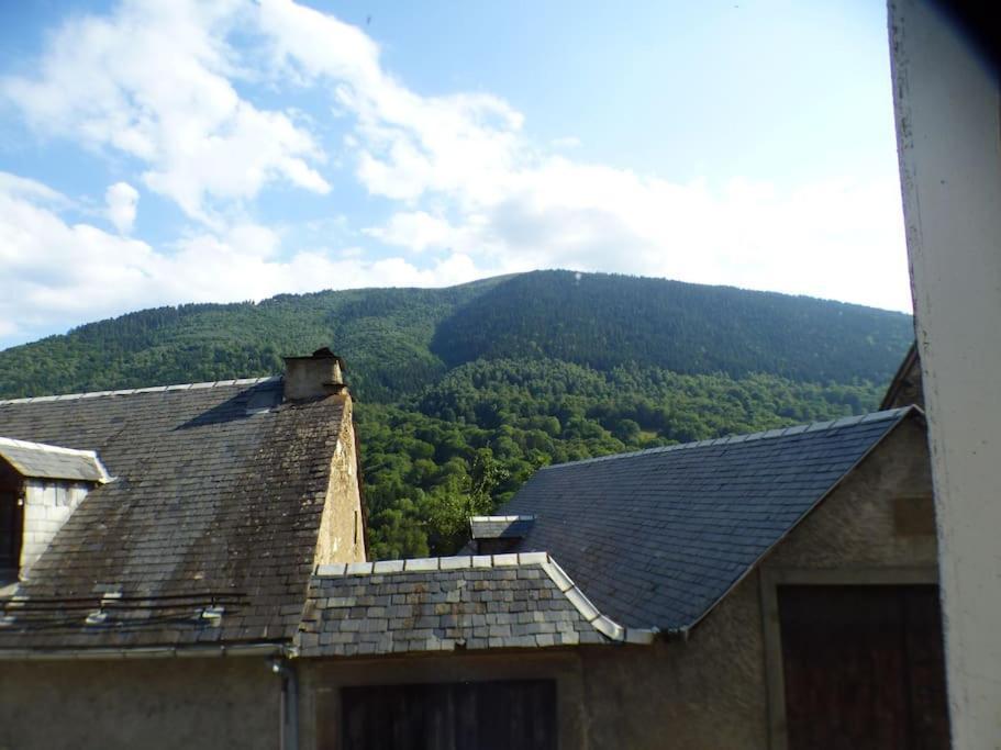 Maison Familiale Pour 8 Saint-Aventin Exteriér fotografie